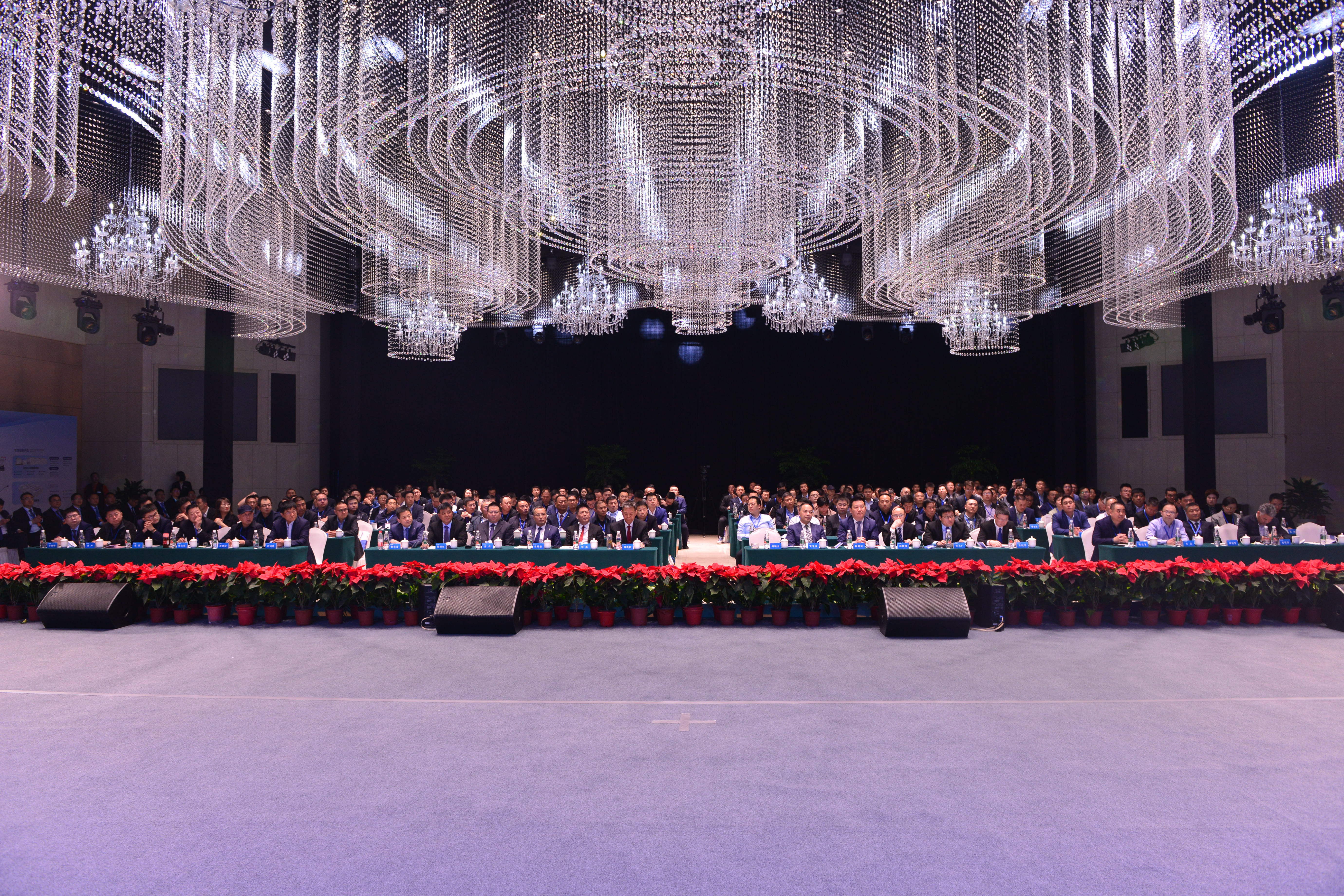 1681872689576315.jpg D8A_2365.JPG